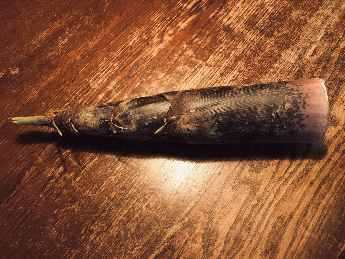 matscat's tweet photo. A local friend just passed by and dropped off some fresh #bamboo #shoot picked today in the #Kamakura #mountains! ❤️ https://t.co/vunu5GvLzu