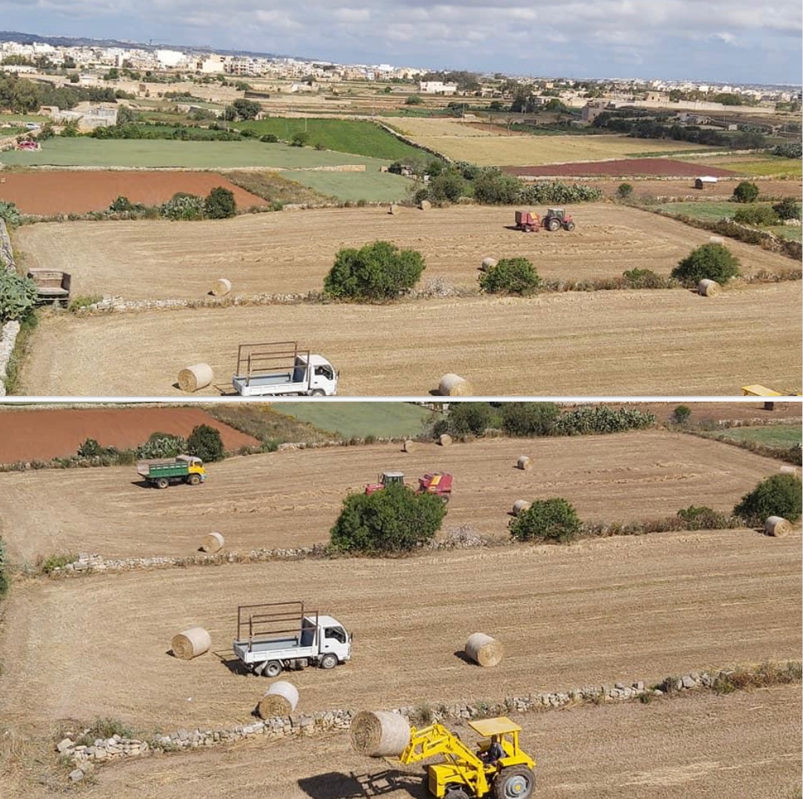 Woke up this morning for this!
The country life.