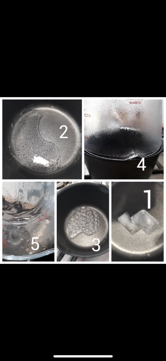 RBHSScience's tweet photo. Emily Sedwell 7D has been a superstar this week! Emily completed her “Science at home” projects and made a model of plant cell from basil in her kitchen  and an also an animal cell. Emily also showed the different states of matter using Ice cubes! Amazing effort keep going! 🌟👏🏻 https://t.co/Z9id94JWQs