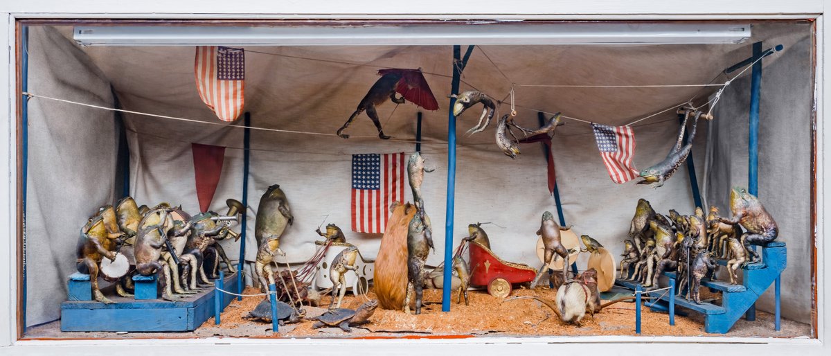 Wistariahurst's tweet photo. Holyoke's own Frog Circus c. 1927 created by Burlingham Schurr. 
#CURATORBATTLE #creepiestobjects #CreepiestObject #FrogCircus #Holyoke https://t.co/E4buehn0OJ