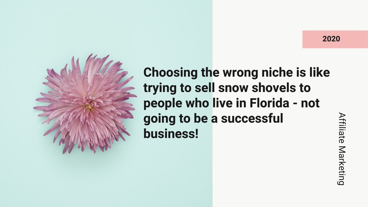 zone_amazon1's tweet image. #Trump 
#Ask101 
#onlineshopping 
#StayHome 
#StayConnected 
#affiliatemarketing 
#Covid_19 

Affiliate marketing secrets