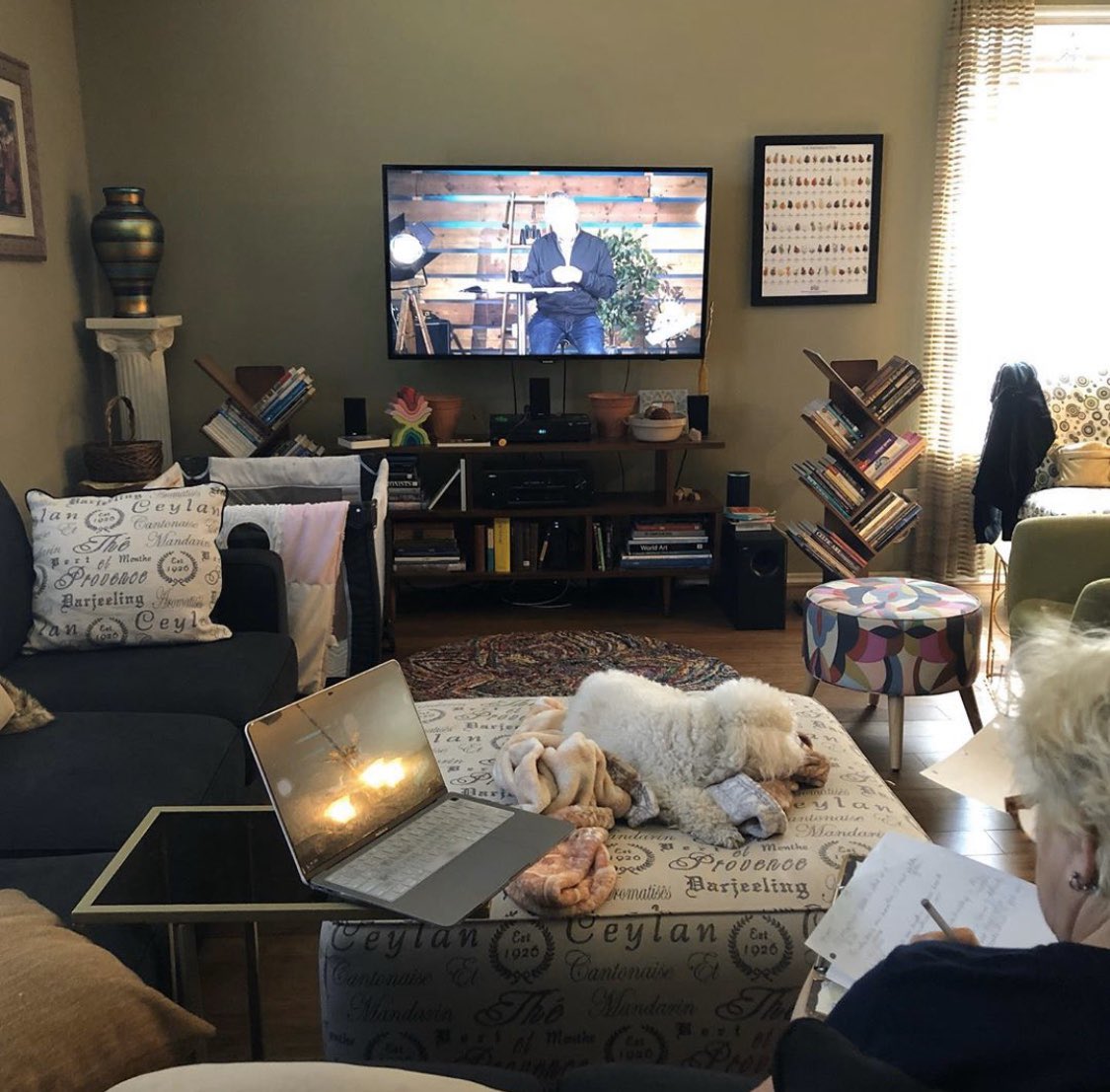 thegateokc's tweet photo. Over 1,700 devices connected & more than 2,000 attended this year’s virtual-style Affecting Destiny Conference!
Hundreds of hours of work from speakers, pastors, media & admin teams went into #ADdigital this year. https://t.co/GF6hFGG8JL