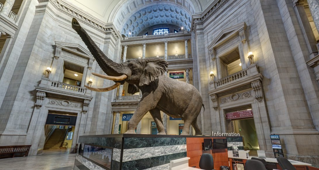 Growing weary of your current surroundings? Take a virtual tour through the Smithsonian's <a href="/NMNH/">Smithsonian NMNH</a> instead! From dinosaur fossils to Ancient Egypt mummies, there’s something for the whole family! #distancelearning

naturalhistory.si.edu/visit/virtual-…