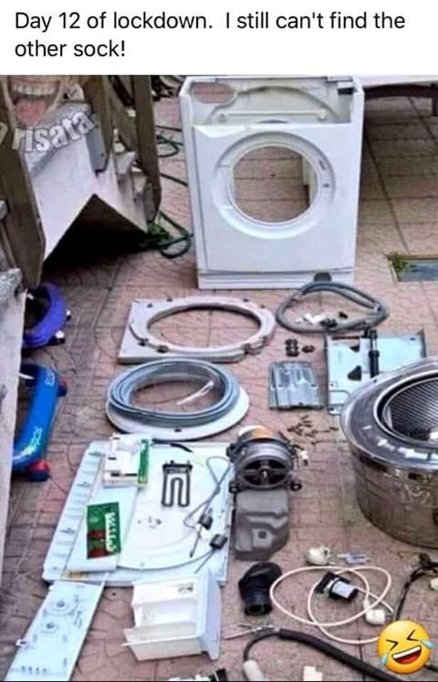 Hahahaha! 🤣🧦 Pat Wojcik
#lostsocks #quarantine #sockjokes