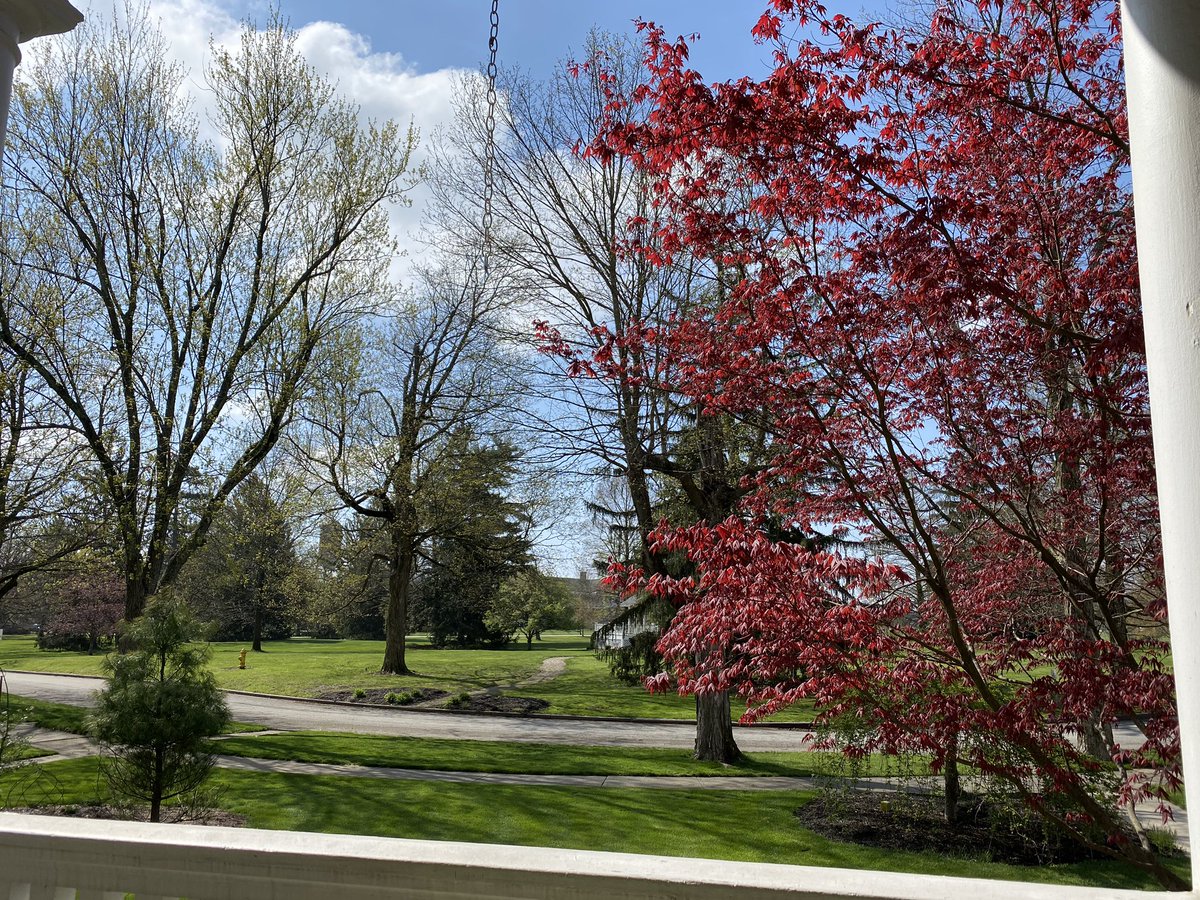 My office today