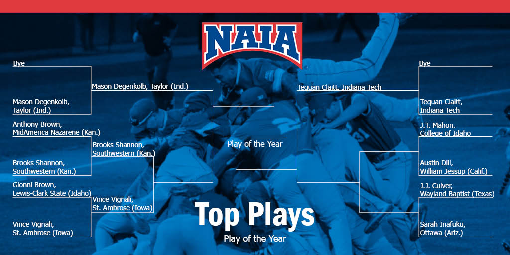 NAIA tweet media