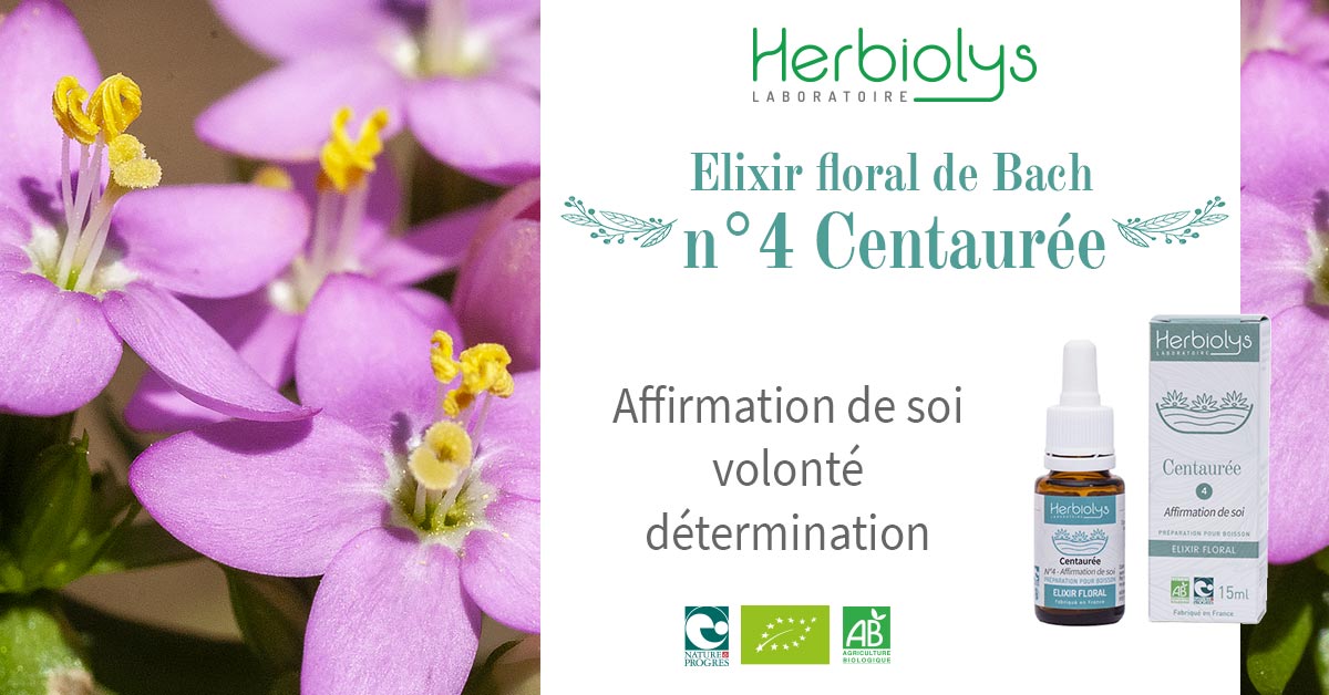 L'élixir floral "Centaurée" (Centaury) est une fleur de Bach axée sur l'affirmation de soi, la volonté et la détermination.
A découvrir ici : ow.ly/4aQ750ySJXJ

#Herbiolys #bio #phytothérapie #fleurdeBach #fleursdeBach #élixirfloral #Bachflowers #centaury #affirmationdesoi