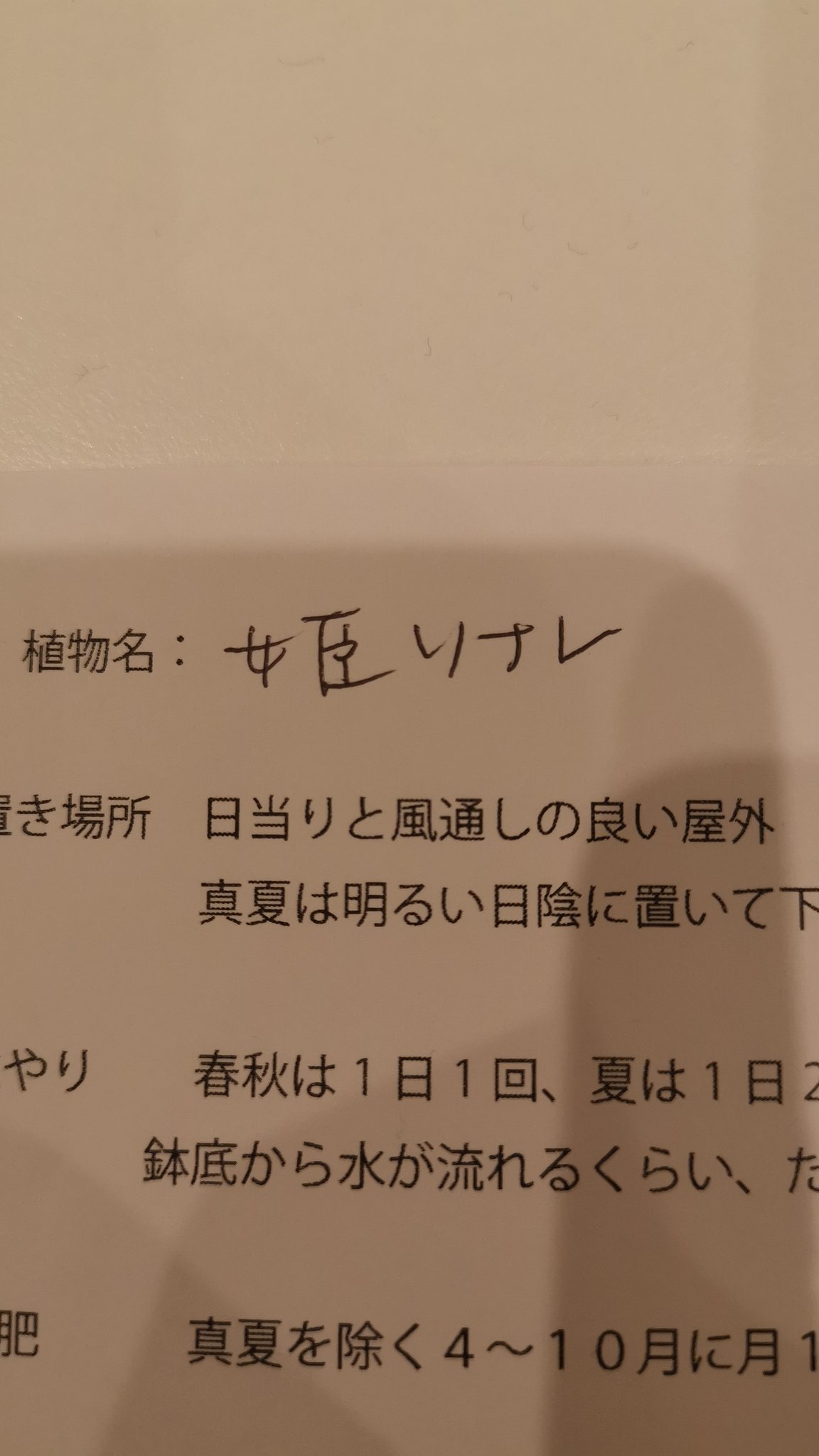 Alex Knight Agk42 Thoughts On What This Says The Wife And I Are Arguing It S The Name Of The Bonsai Alex Knight Agk42 Thoughts On What This Says The Wife And I Are Arguing It S The Name Of The Bonsai