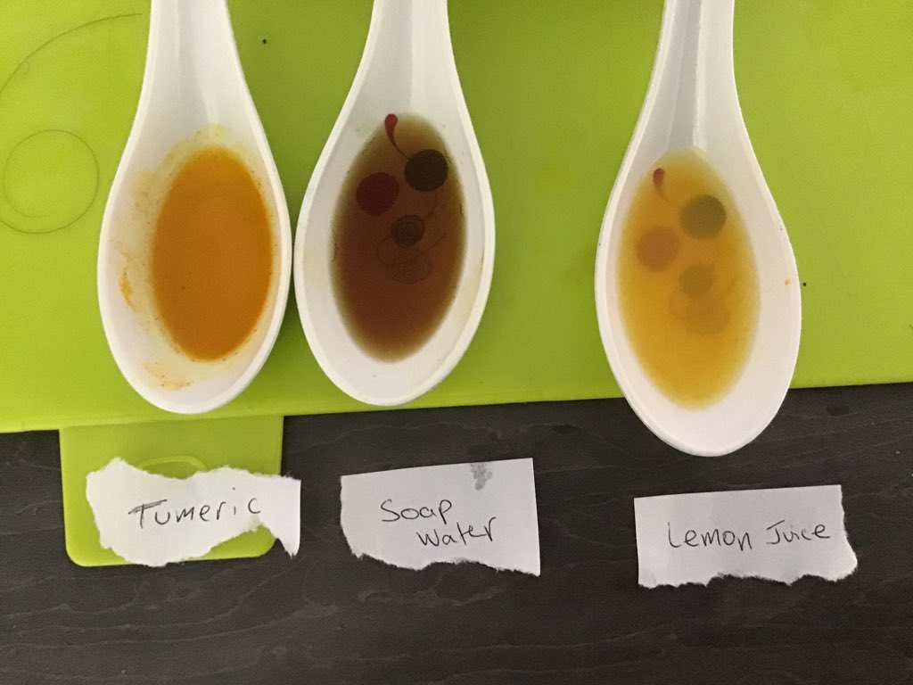 BGS_Chemistry's tweet photo. 7CCH were learning about indicators today and so made their own using plants, spices, fruit and vegetables found around the house. Here are examples of indicators made from petals, beetroot, blueberries, red cabbage and turmeric. ๐ธ#naturalindicators #indicators #remotelearning https://t.co/ywlkVlEaVt