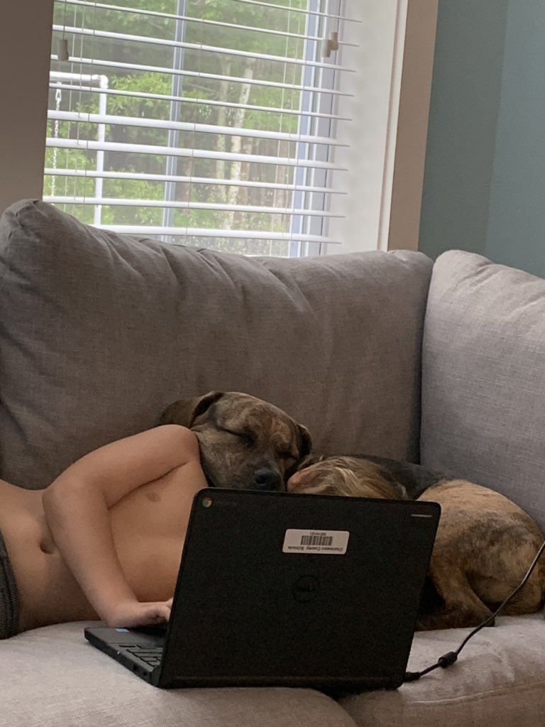 Jennyresists's tweet photo. Dog Man https://t.co/C4AckW1T3Q