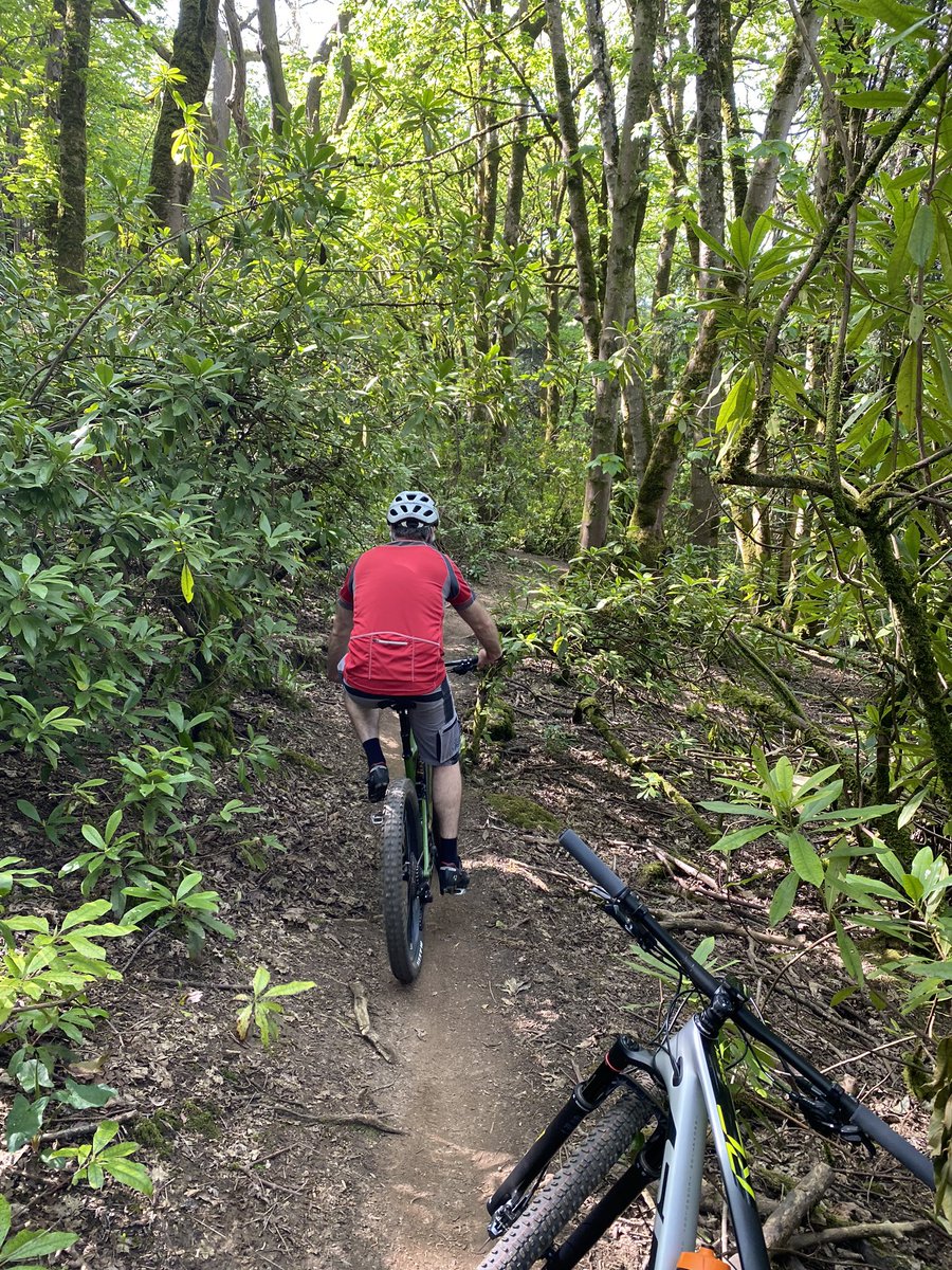 JoeSGriffiths's tweet photo. Trail riding with dad , just like the good old days 🙌🤘#trialbuddy 
#goodtimes #TORQFuelled https://t.co/SFJ9hq7gSG