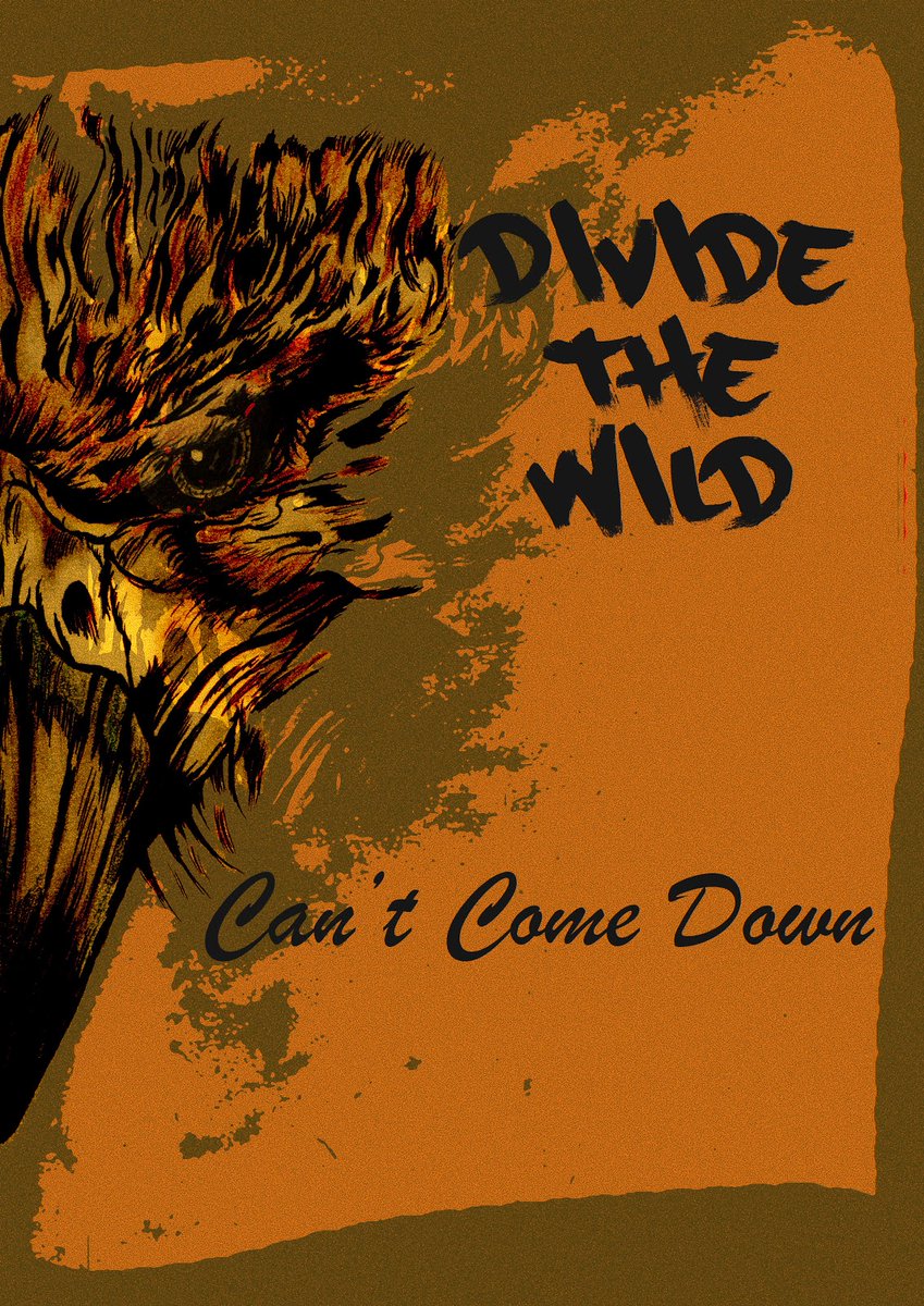 DivideTheWild tweet media