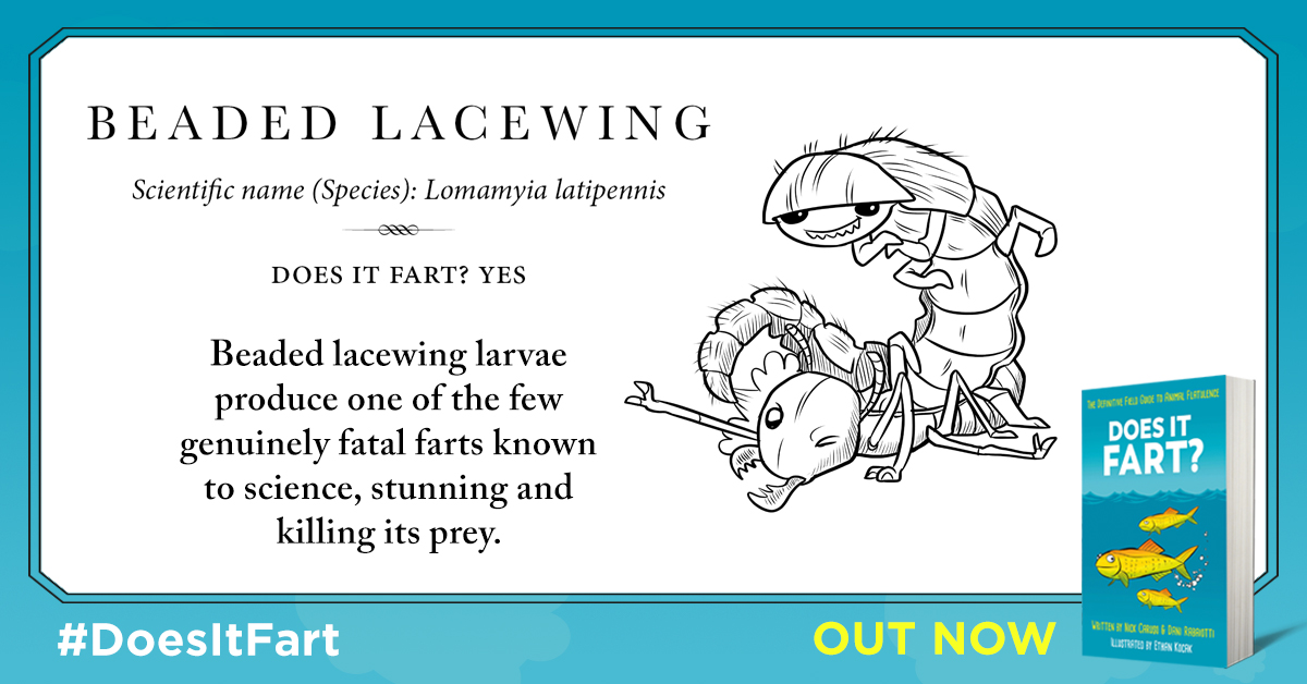 4) The beaded lacewing is a small unassuming insect - but it's larvae have some deadly farts. They produce an allomone - a type of chemical that only effects termites - and this is used to stun, and even sometimes kill, their termite prey!