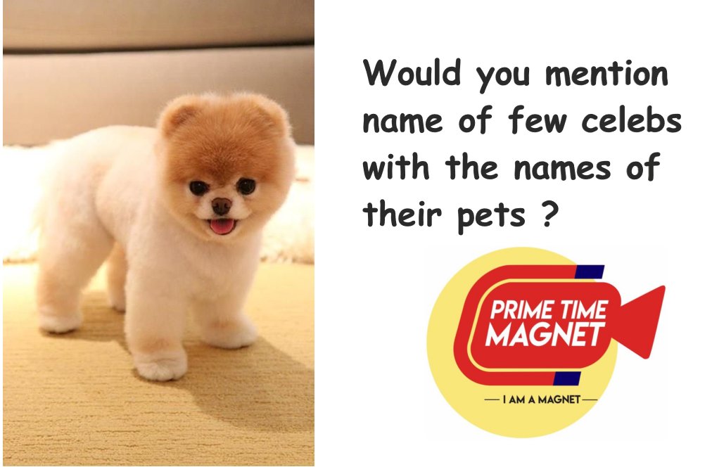 MagnetPrimetime's tweet photo. would you mention name of few celebs with the name of their pets? Awwww mention name of your pets also :).
#IAmMagnet #PrimeTimeMagnet #entertainment #cinematography #screenwriter #movies #petsarefamily #hollywood #filmmakerslife #actorslife #actress https://t.co/BU7LMiRkAq https://t.co/Eth9xKHQFt