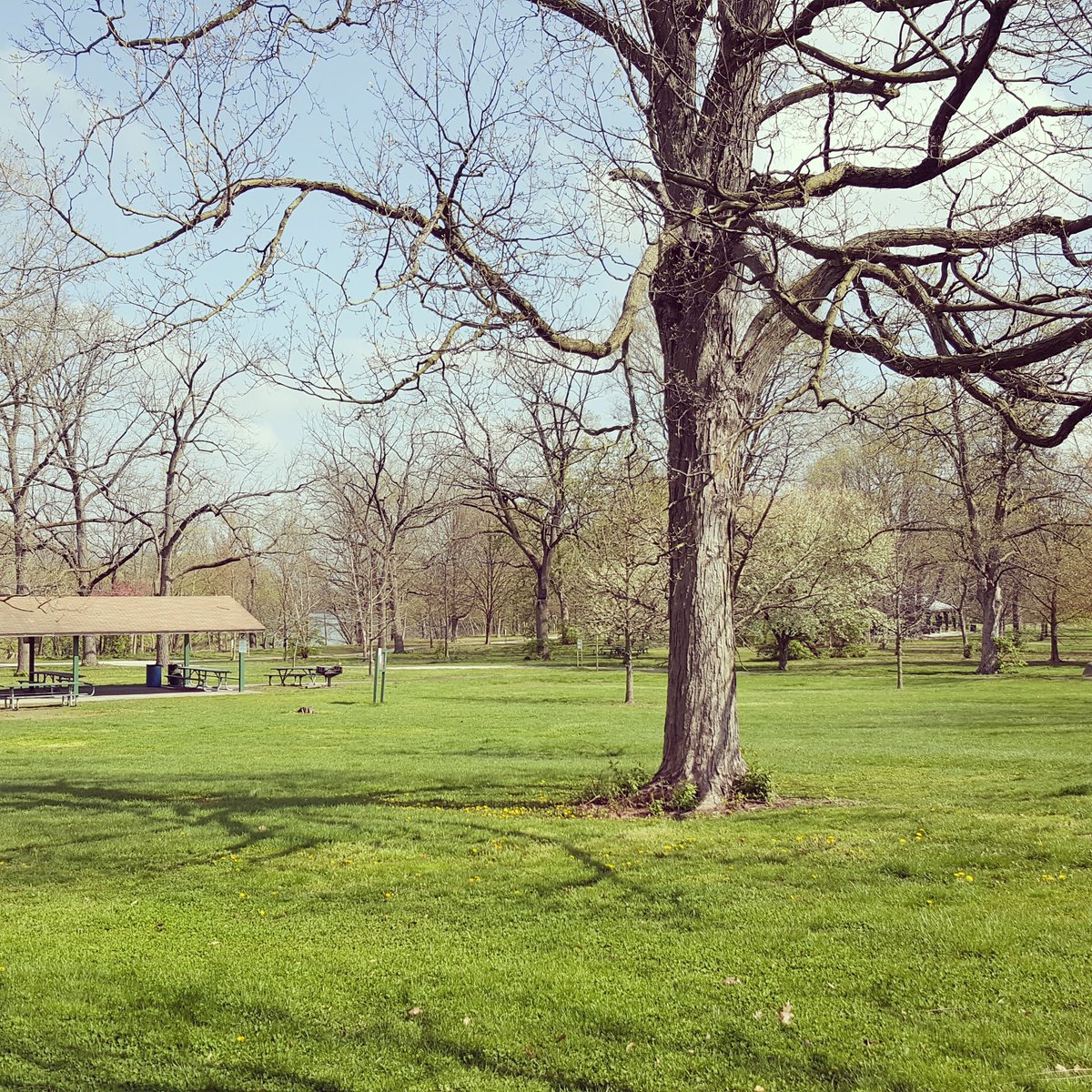 IndianaSciences's tweet photo. Such beautiful weather at @BroadRipplePark to start the #CityNatureChallenge with!
#IndyCNC #INThisTogether #13GameNight @calabro13sports
@WTHRcom @Nature_Indiana @HEC_ED @FriendsBRPark https://t.co/FxJhrzHdGK