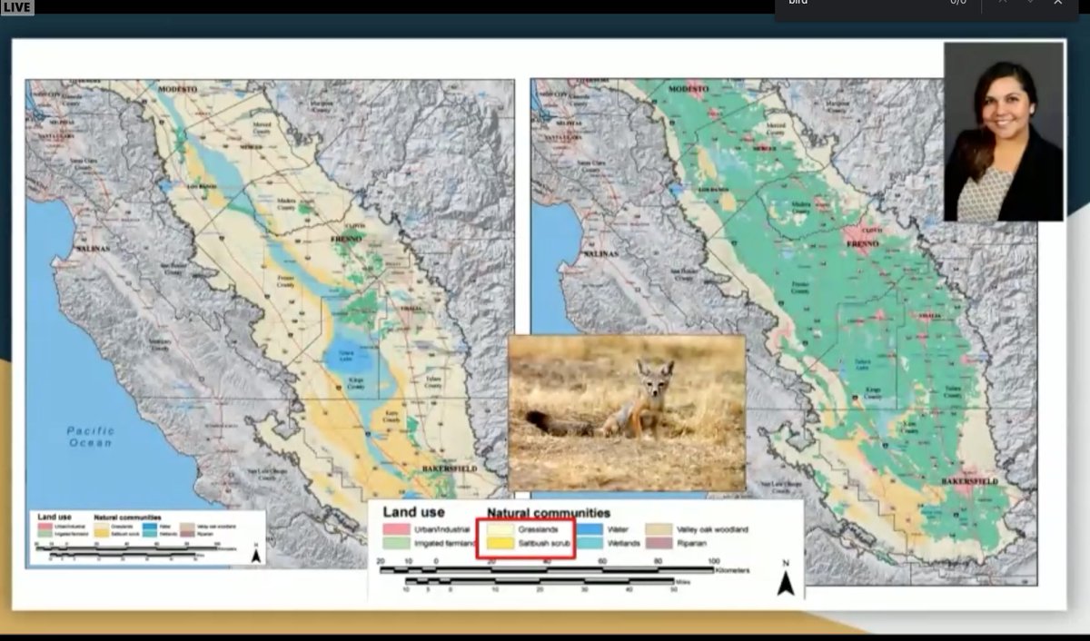 Zoo Lab No. 1 tweet media