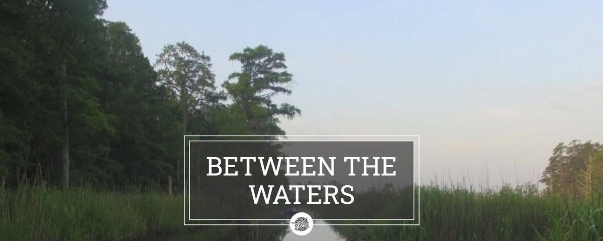 Between the Waters is an interactive website supported by SC Humanities that showcases @HobcawBarony.

We are exploring the Hunting, Fishing, and Conservation trail in observance of Earth Day! What is your favorite trail to virtually visit?
⬇️⬇️⬇️
betweenthewaters.org/trails/