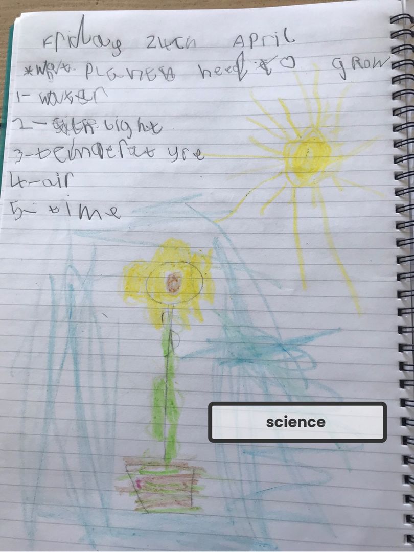 CarnegiePS's tweet photo. Primary 2/3 and P3 have been inspired by Van Gogh this week creating sunny sunflowers for a beautiful sunny day. #teamcarnegie #VanGogh #carnegieart #carnegiescience https://t.co/Mcl7YRqh6r