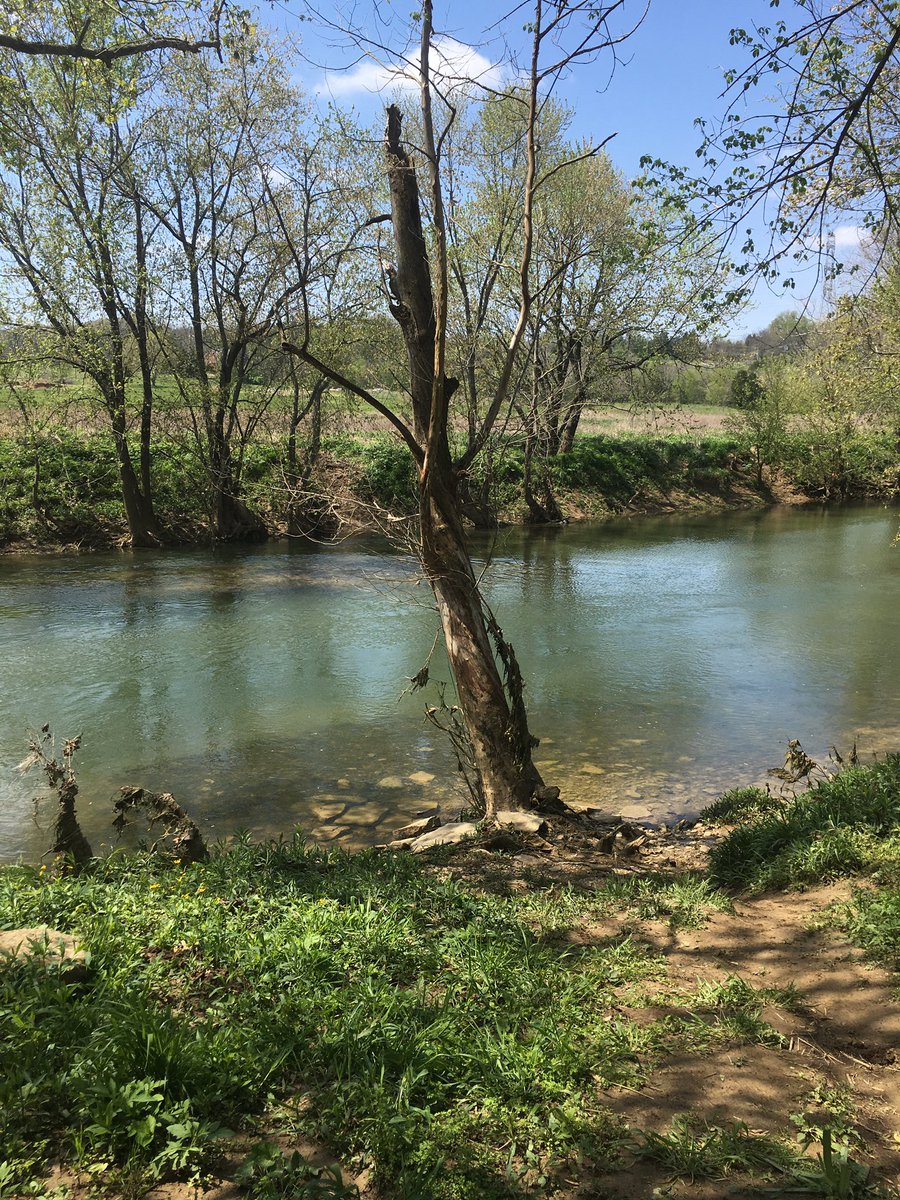 bradd119's tweet photo. My sanctuary #FloydsFork https://t.co/VaRLs5MjUs