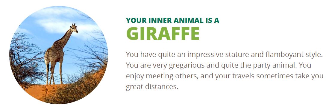 Dasa Sewill tweet media