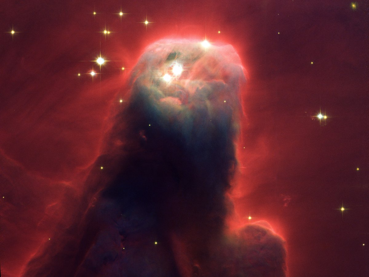 Even closer to us, 2500 light years away, is the Cone Nebula (NGC 2264). The part in this image is about 2.5 light years high. UV radiation from bright, massive stars outside the frame is slowly eroding the nebula.  #Hubble30Image: NASA, Holland Ford (JHU), ACS Science Team, ESA