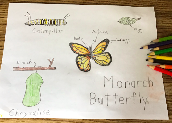 Greenwich Public Schools (aka Ms. Pia Ledina) tweet media