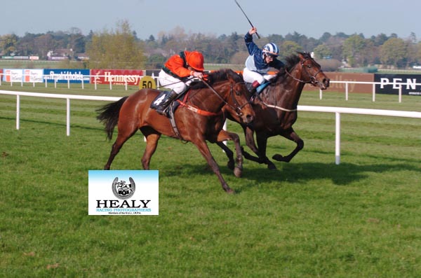 patcashhealy's tweet photo. #FromTheArchives 15 years ago today 24-4-2005
@LeopardstownRC
 A dead heat between "Raggtime Toon" @hussey_mick for Tim Doyle and "Malthouse Master" @smgorey for Oliver Finnegan.
(c)https://t.co/voWGTccgic https://t.co/ssl4ODkOS6