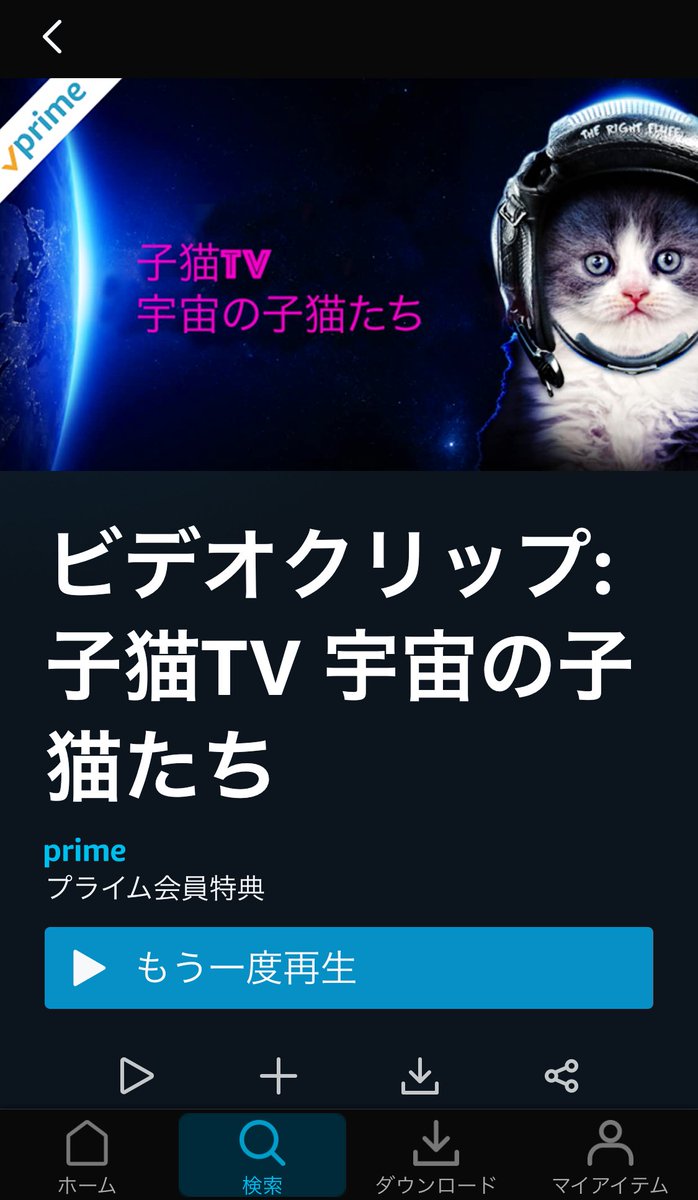 宇宙の子猫たち