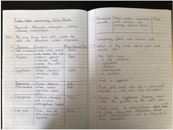 What a fabulous piece of work by Maxim in year 8. He's taken on the challenge of learning some extra knowledge about cells using Oak Academy and produced some beautiful work. @TimSmithCEO <a href="/mrfrankish/">MrFrankish 🥽🧪🔬🧫 ⚗</a> @TLatTMCS @tmcsjanzan <a href="/PPatelTMCS/">Priya Patel</a>