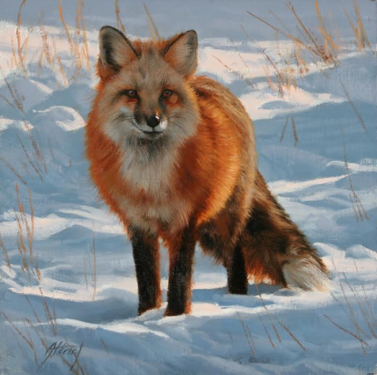 Saks_Galleries's tweet photo. #picoftheday ~ Edward Aldrich "Patterns of Light and Shadow" 12" x 12" Oil #fox #painting #edwardaldrich #snowyfox #foxes #art #beautiful #animal https://t.co/zbN22cYA02