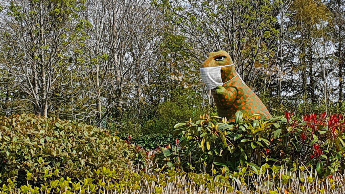 Fife Council on Twitter "Ann, Fiona & Vivienne from the council’s