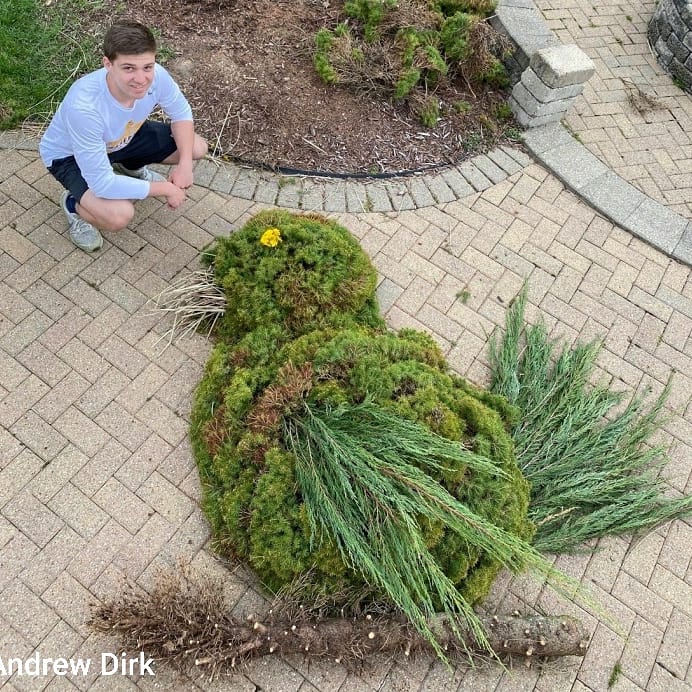 westsartclass's tweet photo. Art Foundations At Home Assignment: Nature Sculpture! I am in love with these as they are starting to come in!!! 😍😍😍. #ofvisualarts #ofhastalent #hsart #art #olmstedfallshighschool #ilovemyjob #studentsuccess #mystudentsarethebest https://t.co/xm7oJRhqo9