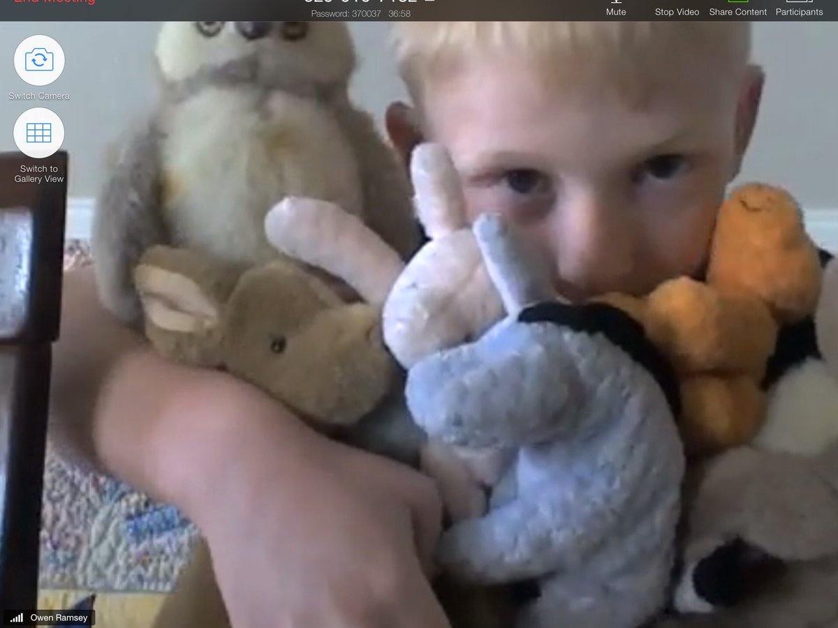 HinesClass's tweet photo. Wednesday was bring your stuffed animals to morning meeting day!  They did - we had much loved 30 yr old and brand new ones!  Big ones, small ones and in-between ones! #hdespride #spiritweek https://t.co/dSKARJN94t