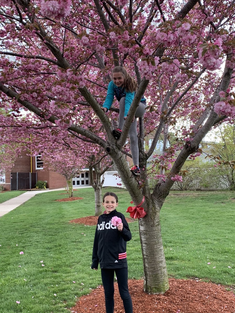 Coach Potts tweet media