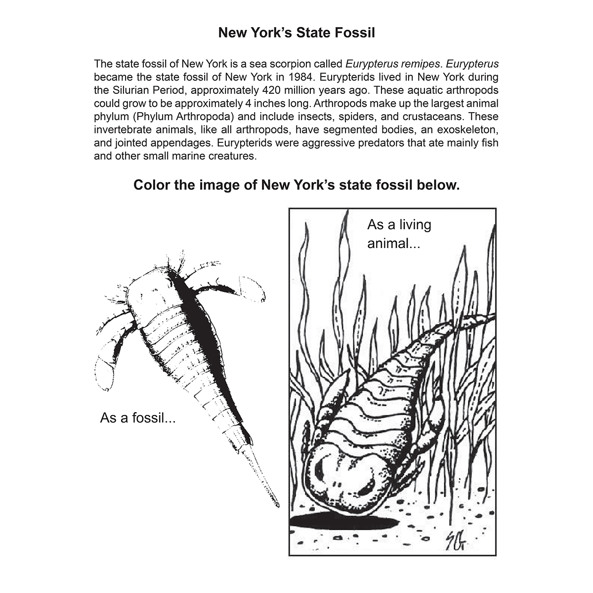 PRInstitution's tweet photo. Learn about state fossils in today's Fun Fossil Activity.
Find out the official state fossils of your state in this Fossil Stuff newsletter. Access this & other activities at https://t.co/6n1xDSGQu0
#MuseumFromHome #LearnAtHome #Fossils #UnitedStates #StateFossil #Paleontology https://t.co/K92qY8V5UA