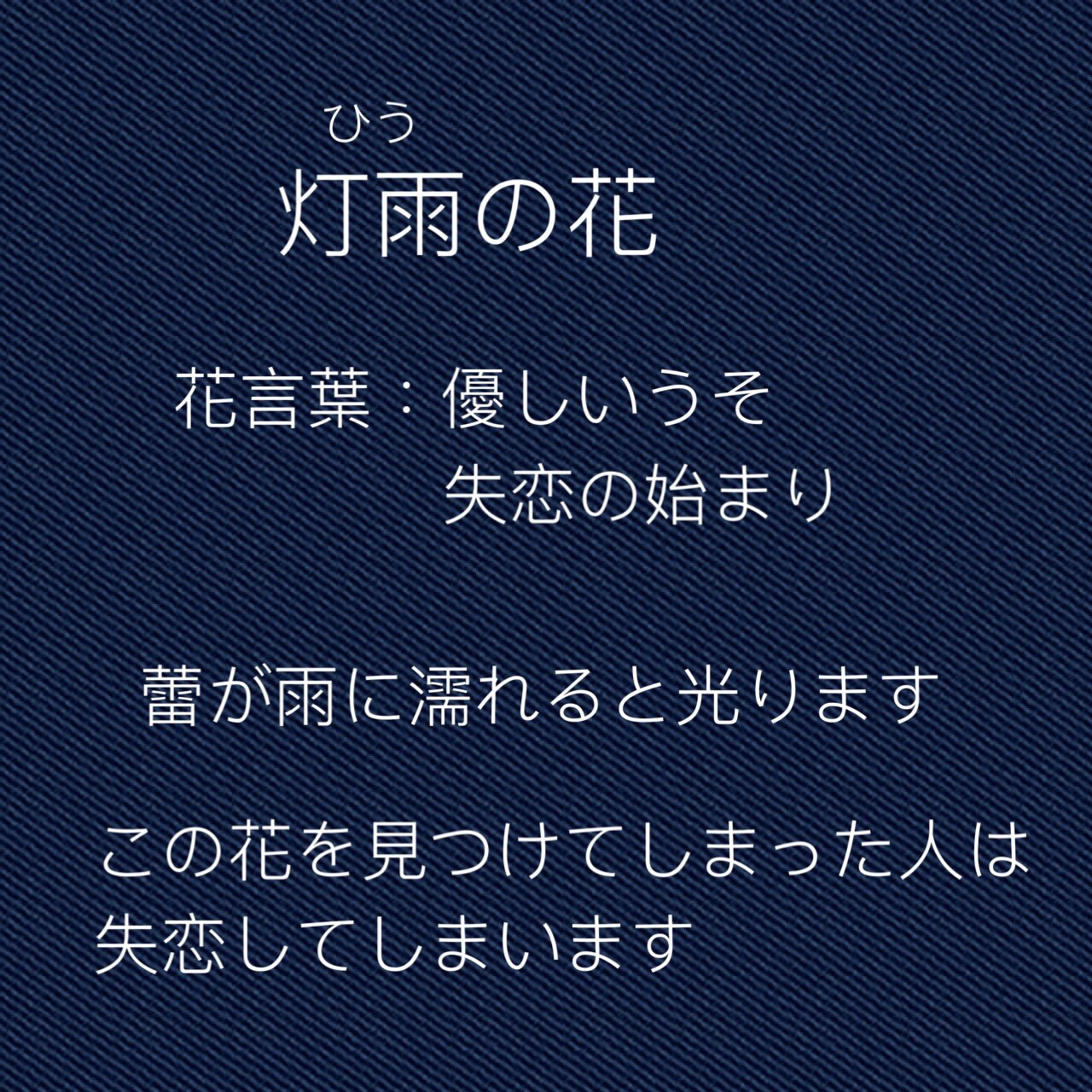 一飛 いちと あなたが咲かせる花 灯雨の花 ひうのはな 花言葉 優しいうそ 失恋の始まり T Co 13yx7iwewp Twitter