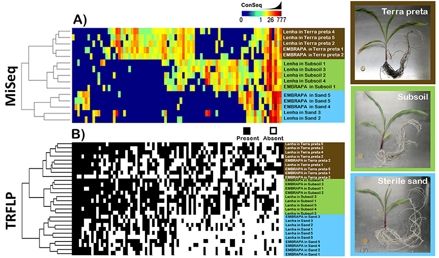 Botanical_'s tweet photo. From #AppsPlantSci #LowCostMethods issue: Botanical #microbiomes on the cheap: Inexpensive molecular fingerprinting methods to study plant‐associated communities of bacteria &amp; fungi--by @DrDamojomo &amp; Lopez Mejia https://t.co/KXa3w746Al @MPIPZ_Cologne @PhytoBiomes @wileyplantsci https://t.co/Ozzk3sNgpM