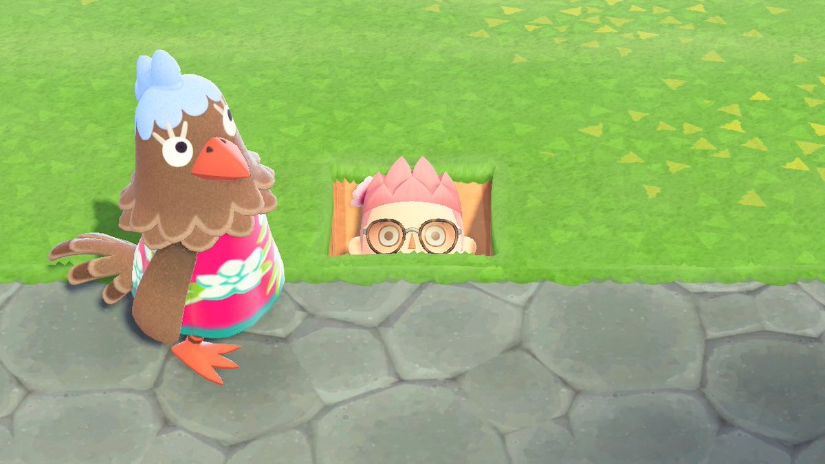 realhumanworm's tweet image. 👁👄👁 #ACNH