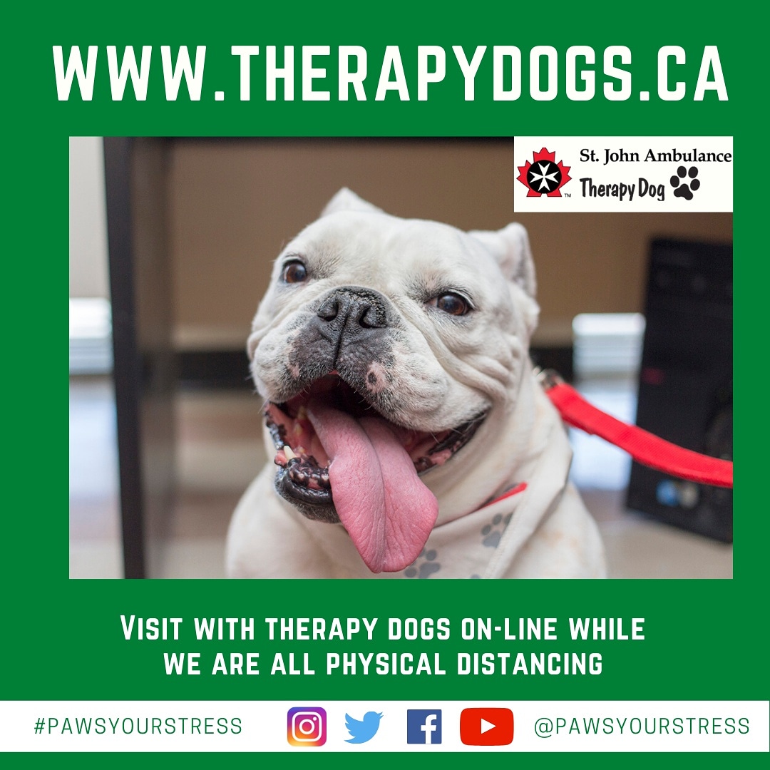 PAWSYourStress tweet media