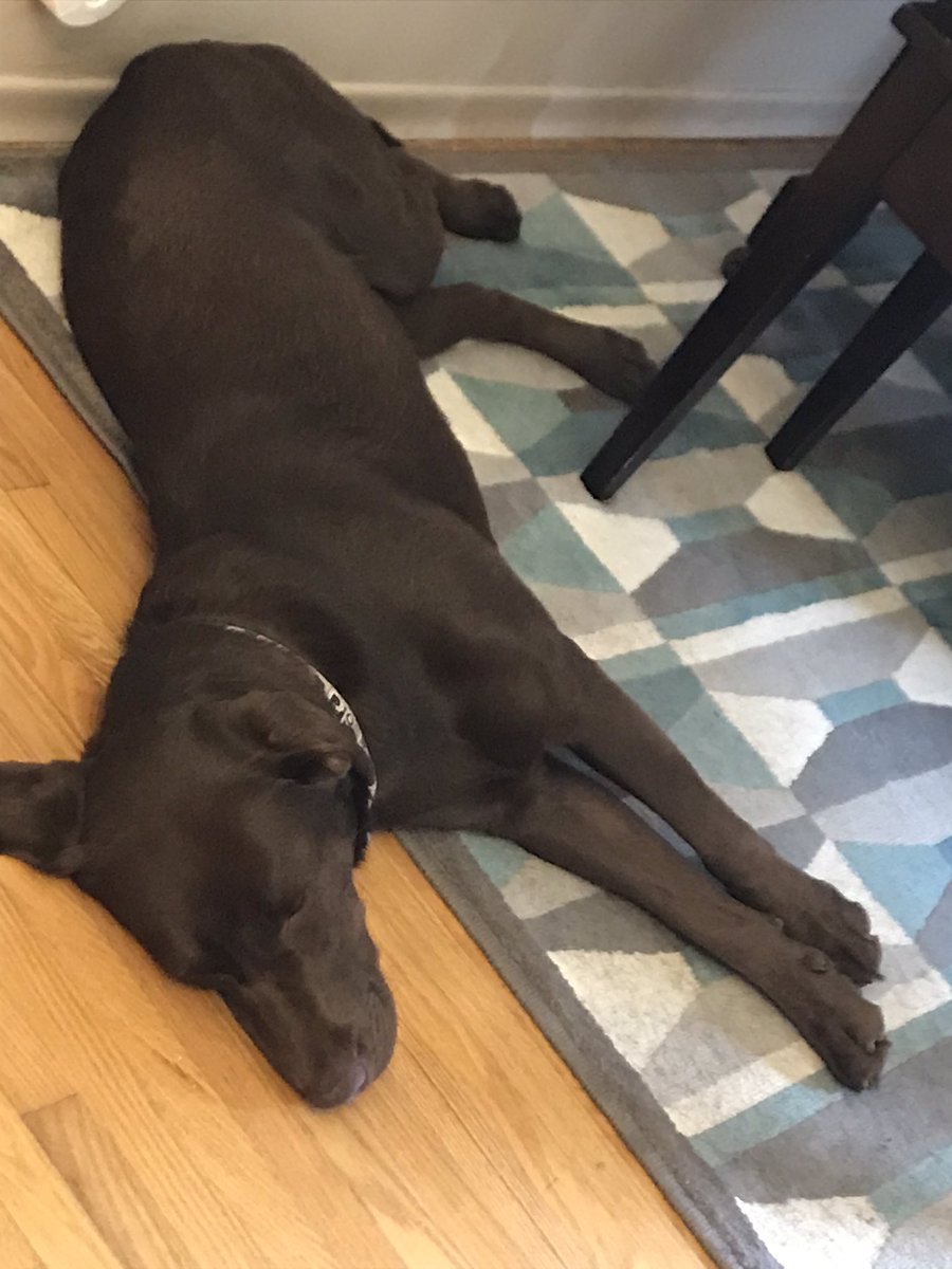 WaltherMark's tweet photo. How I feel today? #TGIF https://t.co/PgQlP5yaZG
