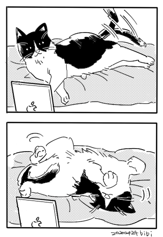 うちの猫がいい感じに描けたから見てくれ 