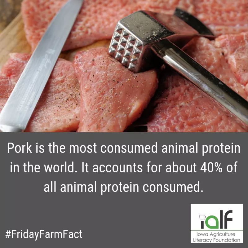 Fun Fact Friday!  <a href="/IowaAgLiteracy/">Iowa Agriculture Literacy Foundation</a> #porkproducer