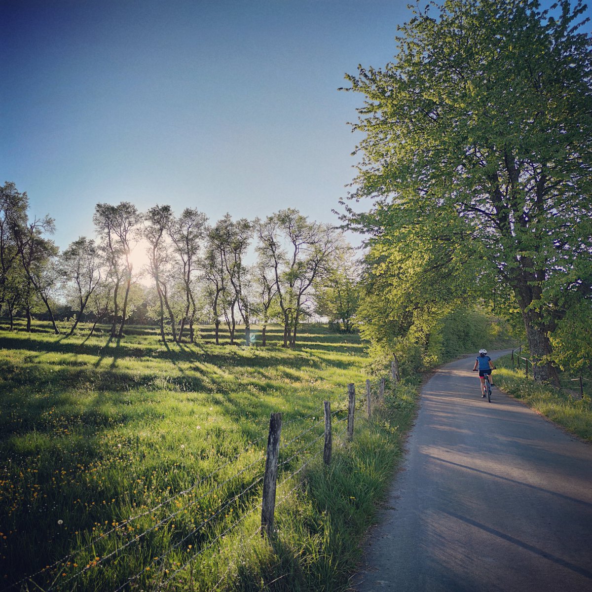 baiki_eu's tweet photo. Dem Wochenende entgegen🌄🚵‍♀️
https://t.co/d05lP0govD

#sonne #wochenende #freitag #fahrrad #bergauf #licht #spring #springvibes #sunset #sunshine #weekend #friday #bicycle #cyclist #nature #mtb #mtbsaar #baiki #saarland #saarbrücken #startup #supportsmallbusiness #hältdeinzeug https://t.co/VpSMcXqb4U