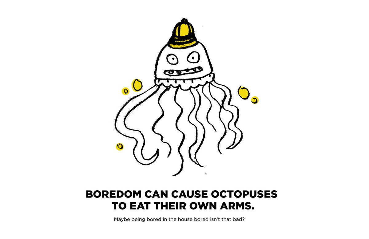 SpreadMoreGood's tweet image. #Spreadmoregood fun fact of the day. Octopuses got us thinking being #boredinthehouse ain't that bad. #StayHomeSavesLives 

Drawing by Wyatt and Ev Dean
