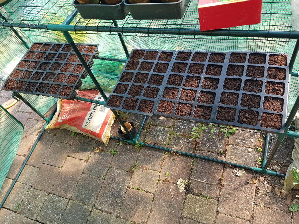 Fixed my hot tub, planted more herbs and the next set of lettuce plants is sprouting amongst the previous set. Good shit.Seeing stuff germinate now which is real nice. Satisfying work.