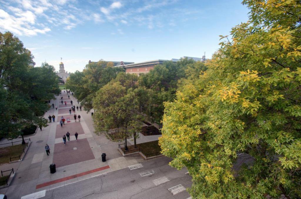uiowa's tweet photo. With over 8,000 trees and more than 300 planted each year, it’s no surprise the University of Iowa has been designated as a Tree Campus USA Award for 10 straight years. Happy #ArborDay. 🌳 https://t.co/sFAtqbXJw8