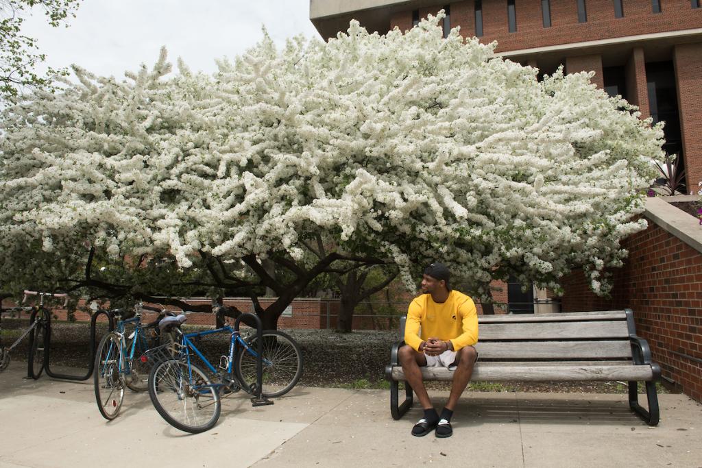 uiowa's tweet photo. With over 8,000 trees and more than 300 planted each year, it’s no surprise the University of Iowa has been designated as a Tree Campus USA Award for 10 straight years. Happy #ArborDay. 🌳 https://t.co/sFAtqbXJw8