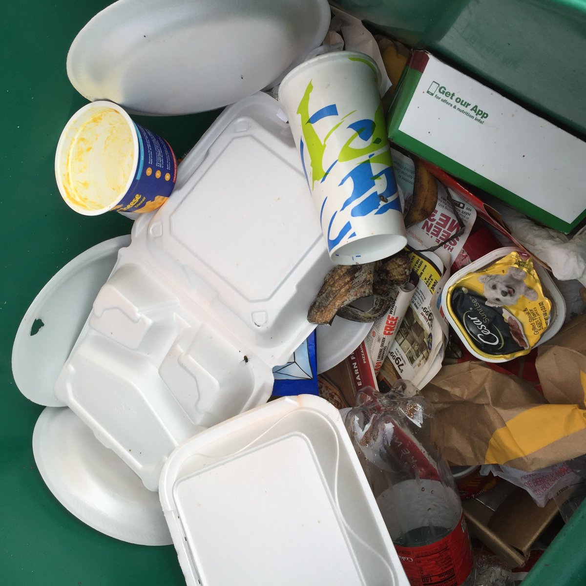 KeepCharlotte's tweet photo. Believe it or not, this is a recycle cart here in Charlotte County. Florida.
Comment on all of the things you see that SHOULD NOT be in a recycle cart! Then Retweet!
#KeepFLBeautiful #IfYouKnowBetterDoBetter Keep America Beautiful #SingleStreamRecycling Waste Management https://t.co/OTqtavnxUt