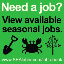 Can you help us promote our jobs bank <a href="/FAIRImmigration/">Federation for American Immigration Reform</a>
<a href="/NumbersUSA/">NumbersUSA</a> @columbiabugle <a href="/CIS_org/">Center for Immigration Studies</a> <a href="/BreitbartNews/">Breitbart News</a> @JxhnBinder <a href="/vdare/">VDARE</a>? There are almost 800 job listings representing over 10,000 available positions. Let's get America back to work!

sealabor.com/jobs-bank/