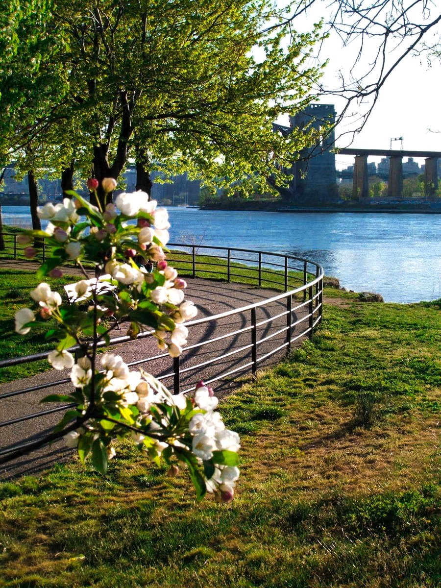 GiveMeAstoria's tweet photo. This week's #GiveMeSpring nomination is:
'Hell Gate in Spring' by Bernadette Claffey ( @bernadetteclaffey )
Be sure to email us your spring submissions at info@givemeastoria.com
Next entry to be featured next Friday! https://t.co/Y2qoJAGnm2